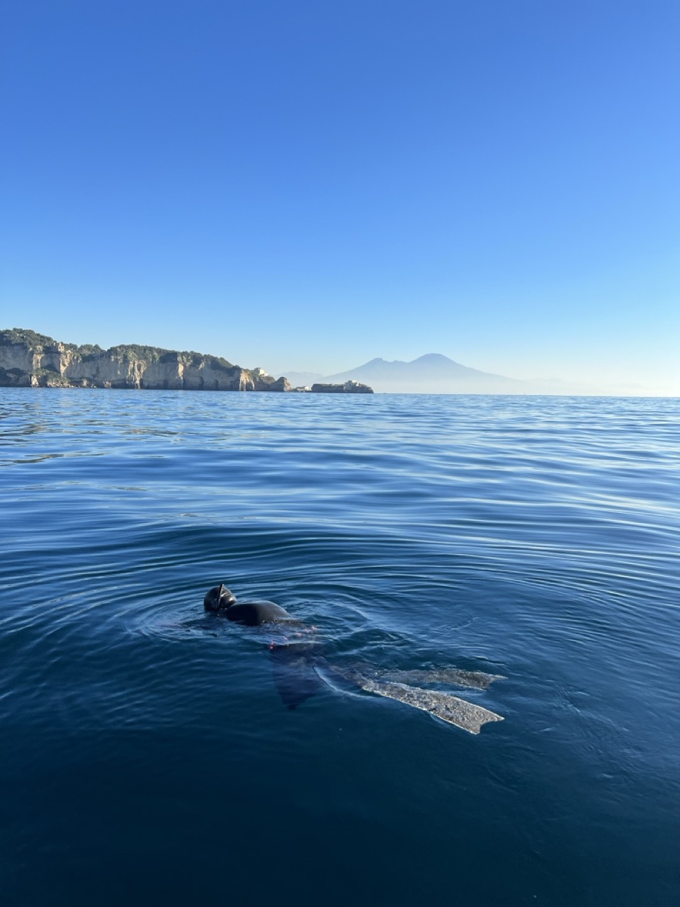 Come iniziare a fare apnea